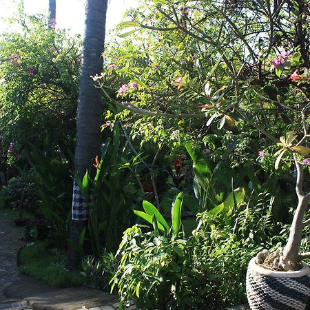 Cleopatra Beach Bungalows Hotel Lovina  Exterior photo