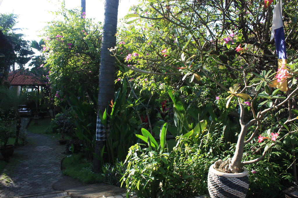 Cleopatra Beach Bungalows Hotel Lovina  Exterior photo